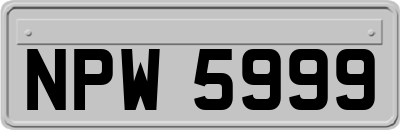 NPW5999