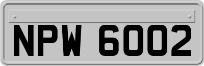 NPW6002