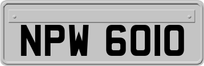 NPW6010