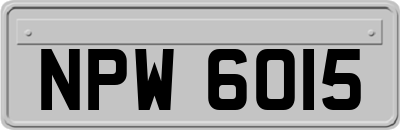 NPW6015