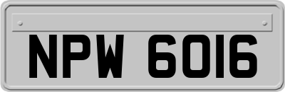 NPW6016