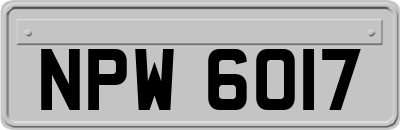 NPW6017