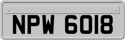 NPW6018