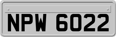 NPW6022
