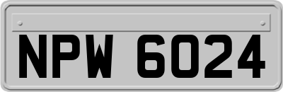 NPW6024