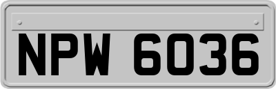 NPW6036