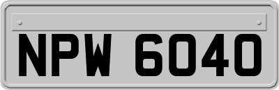 NPW6040