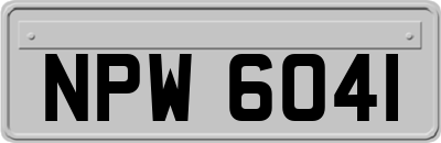 NPW6041