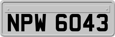 NPW6043