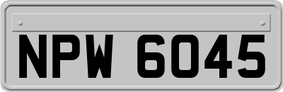 NPW6045