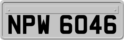 NPW6046
