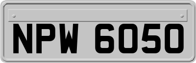 NPW6050