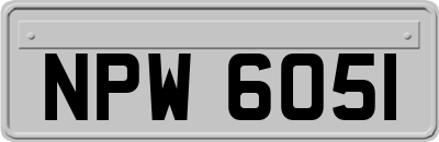 NPW6051