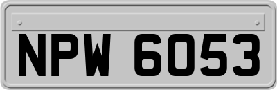 NPW6053
