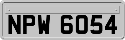 NPW6054
