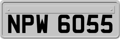 NPW6055