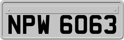 NPW6063