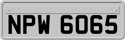 NPW6065