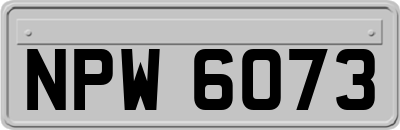 NPW6073