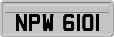 NPW6101