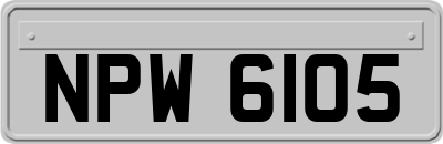 NPW6105
