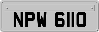 NPW6110