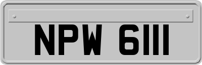 NPW6111