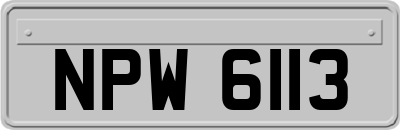 NPW6113