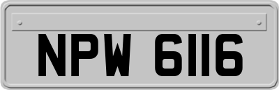 NPW6116