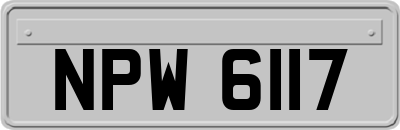 NPW6117