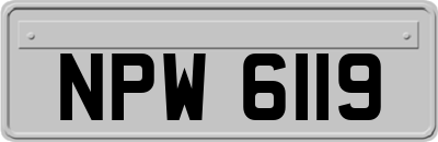 NPW6119