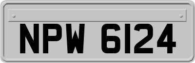 NPW6124