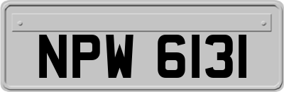 NPW6131