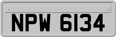 NPW6134