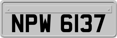 NPW6137