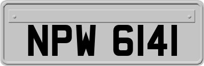 NPW6141