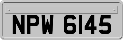 NPW6145