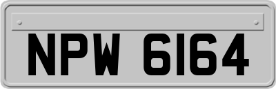 NPW6164