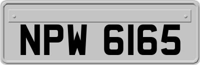 NPW6165