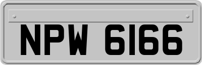 NPW6166