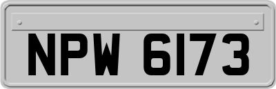 NPW6173