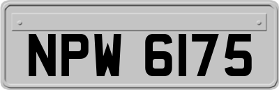 NPW6175