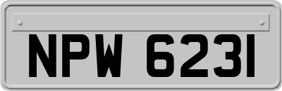 NPW6231