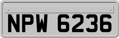 NPW6236