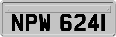 NPW6241