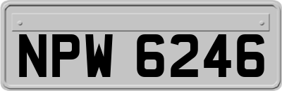 NPW6246