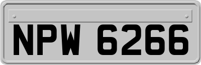 NPW6266