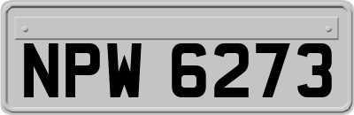 NPW6273