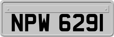 NPW6291