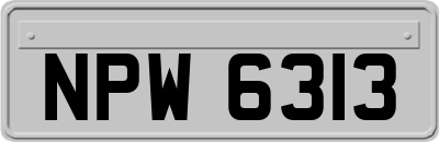 NPW6313